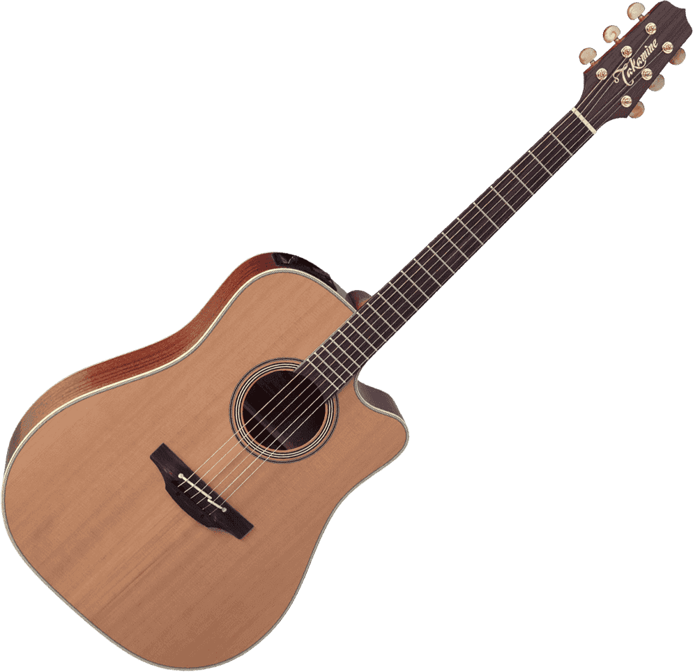TAKAMINE EN10C
