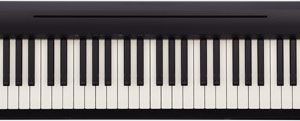 FP-10-BK