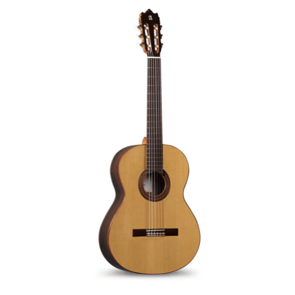 GUITARE ALHAMBRA IBERIA ZIRICOTE
